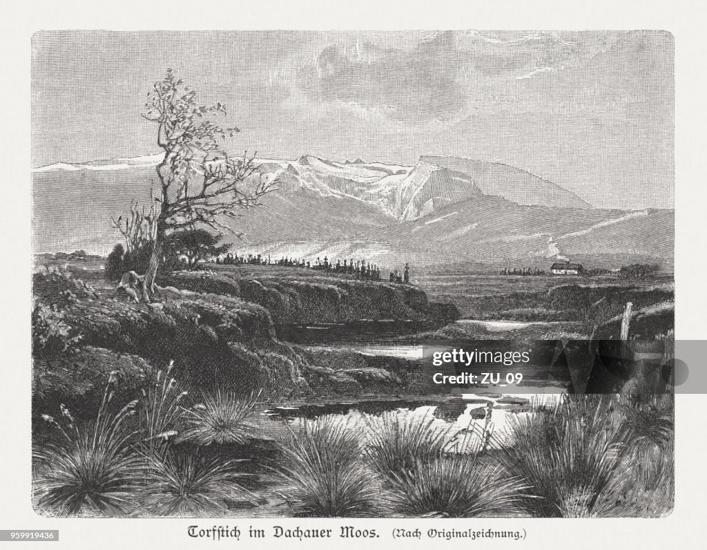Peat sting in the Dachau Moss, Bavaria, Germany, published 1897