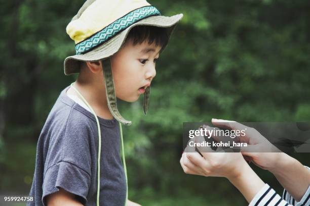 ein junge beobachtet eine libelle, die seine mutter im wald gefangen - cute japanese boy stock-fotos und bilder