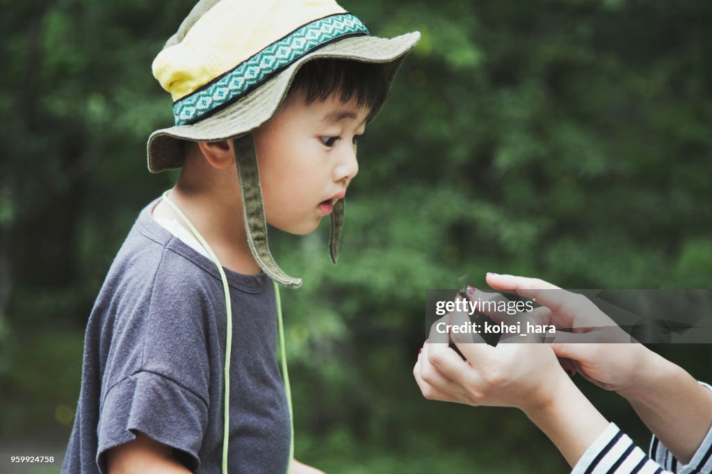 A boy watching a dragonfly which his mother caught in the forest