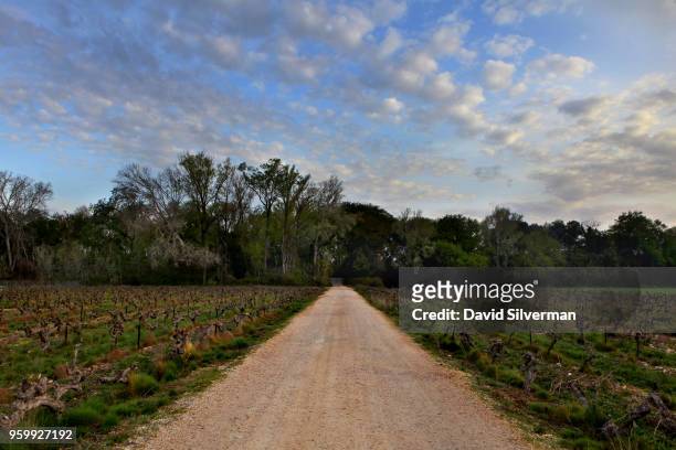 Vineyards are covered with wild-flowers as winter turns to spring on April 7, 2018 near Châteauneuf-du-Pape in the Vaucluse department in the...