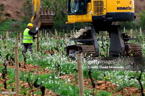 Farmer tends his vineyard which begins to awake from its winter dormancy as the season turns to spring on April 9, 2018 near Châteauneuf-du-Pape in...