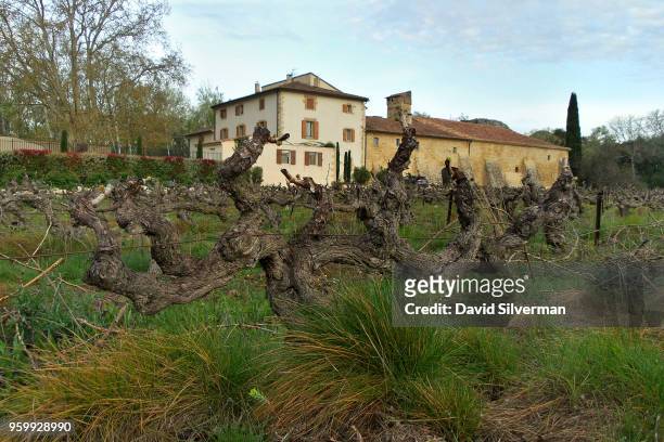 An old-vine vineyard begins to awake from its winter dormancy as the season turns to spring on April 7, 2018 near Châteauneuf-du-Pape in the Vaucluse...