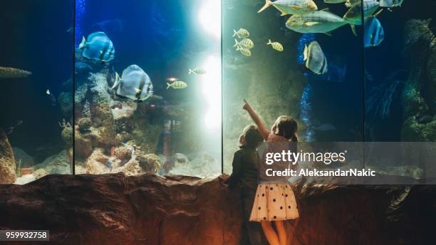 kinder, die unterwasserwelt zu entdecken - girl pointing stock-fotos und bilder