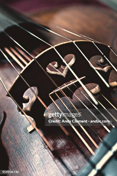 viola - andy clement stock pictures, royalty-free photos & images