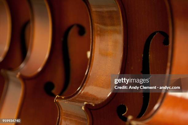 violins - andy clement stock pictures, royalty-free photos & images