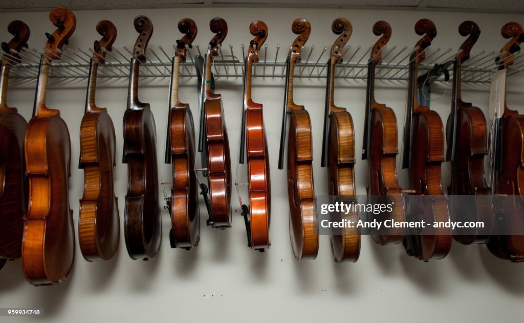 Stringed Instruments