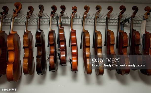 stringed instruments - andy clement stock pictures, royalty-free photos & images