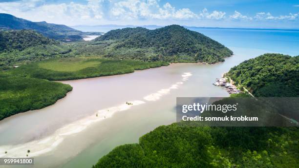 river with sand barrier in mangrove forest at ebb tide time - ebb tide stock pictures, royalty-free photos & images