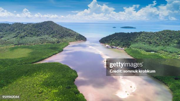 river with sand barrier in mangrove forest at ebb tide time - ebb tide stock pictures, royalty-free photos & images