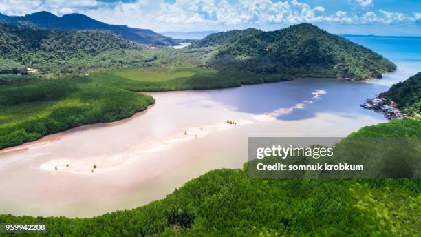 river with sand barrier in mangrove forest at ebb tide time - ebb tide stock pictures, royalty-free photos & images