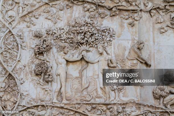 Bas Adam 2,023 Adam And Eves Stock Photos, High-Res Pictures, and Images - Getty ...