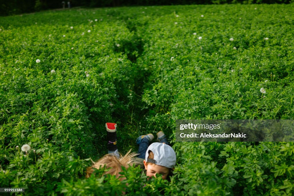 Kids in the clover field