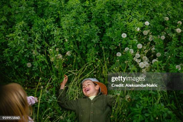 kids in the clover field - daisy family stock pictures, royalty-free photos & images
