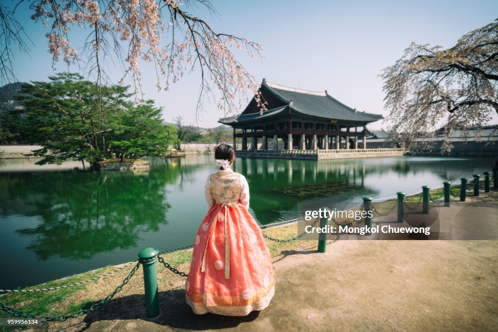 Young asian woman traveler in korean national dress or Hanbok traveling into the Gyeongbokgung Palace with cherry blossom or call sakura in spring with blue sky and clouds at Seoul city, South Korea.