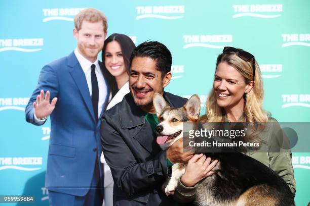 Robert Rakete and Jeanette Thomas hold a corgi during the Royal Corgi Classic on May 19, 2018 in Auckland, New Zealand. Corgis from around the...