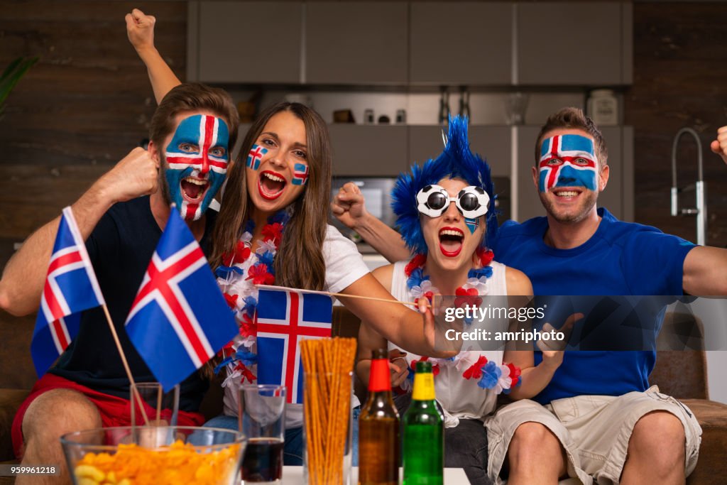 Goal for iceland