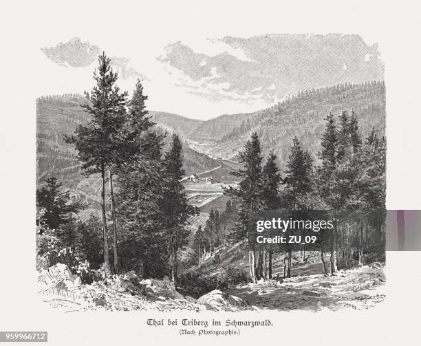 valley near triberg, black forest, germany, wood engraving, published 1897 - triberg im schwarzwald stock illustrations