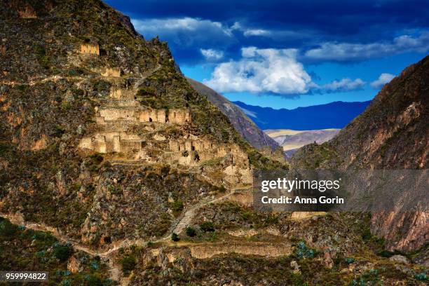 archeaological site of pinkuylluna ruins on mountain, seen across valley from ollantaytambo in sacred valley, peru - anna gorin stock pictures, royalty-free photos & images