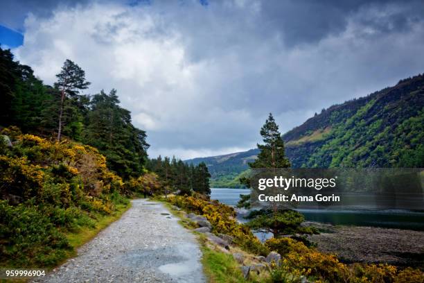 walking path along north shore of upper lake in wicklow mountains national park by glendalough, stormy spring skies - north wicklow photos et images de collection