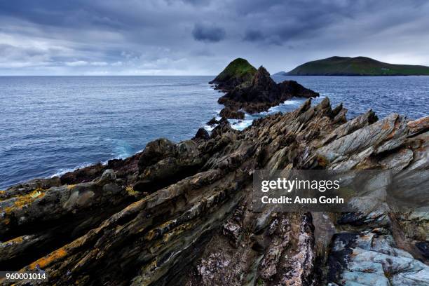 rugged rock formations jutting into ocean at slea head on dingle peninsula with blasket islands on horizon - anna gorin stock-fotos und bilder