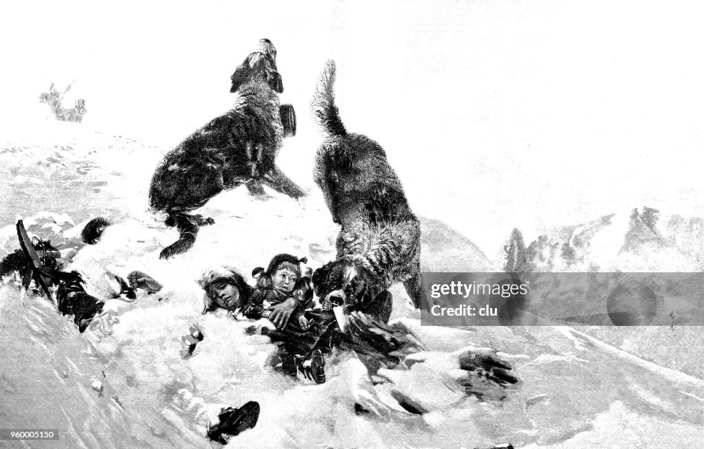 Saint Bernard cães descobrem crianças enterradas na neve
