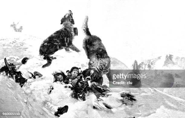 saint bernard dogs discover buried children in the snow - yap stock illustrations