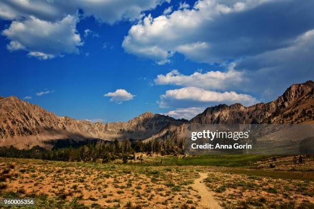 hiking path through ants basin in white cloud wilderness along trail to born lakes, central idaho in summer - anna gorin stock pictures, royalty-free photos & images