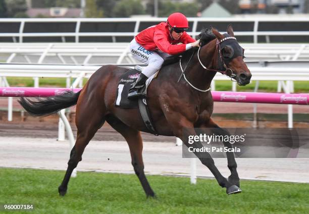 Iconoclasm ridden by Ethan Brown wins the Chris Waller Hall of Fame Trophy at Flemington Racecourse on May 19, 2018 in Flemington, Australia.