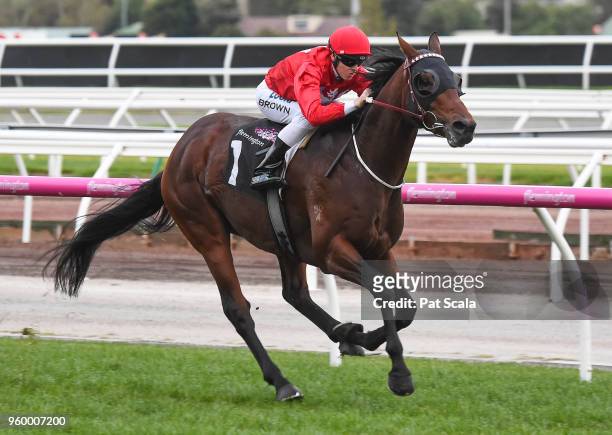 Iconoclasm ridden by Ethan Brown wins the Chris Waller Hall of Fame Trophy at Flemington Racecourse on May 19, 2018 in Flemington, Australia.