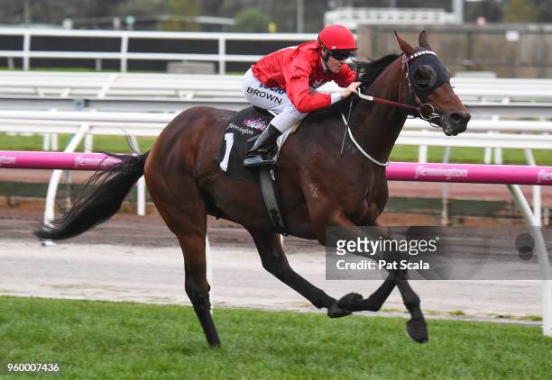 Iconoclasm ridden by Ethan Brown wins the Chris Waller Hall of Fame Trophy at Flemington Racecourse on May 19, 2018 in Flemington, Australia.