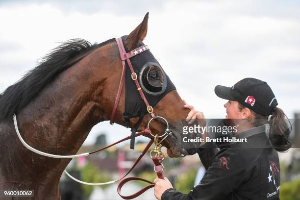 Iconoclasm after winning the Chris Waller Hall of Fame Trophy at Flemington Racecourse on May 19, 2018 in Flemington, Australia.