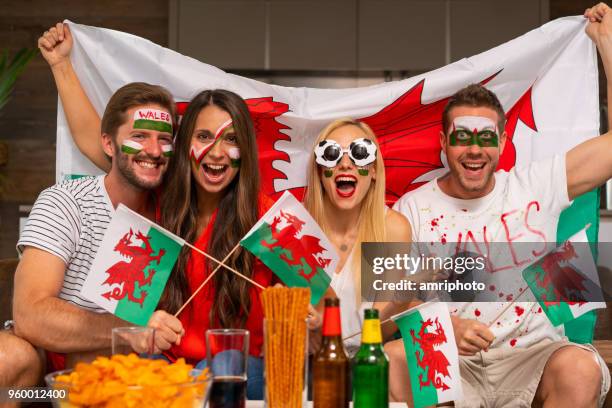 goal for wales - fifa world cup fans stock pictures, royalty-free photos & images