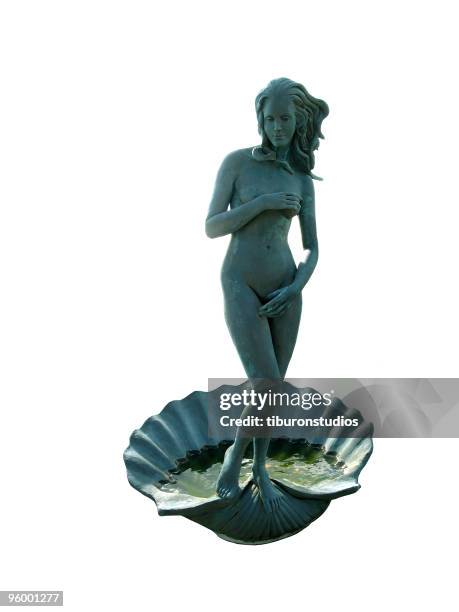 Venus High-Res Stock Photo