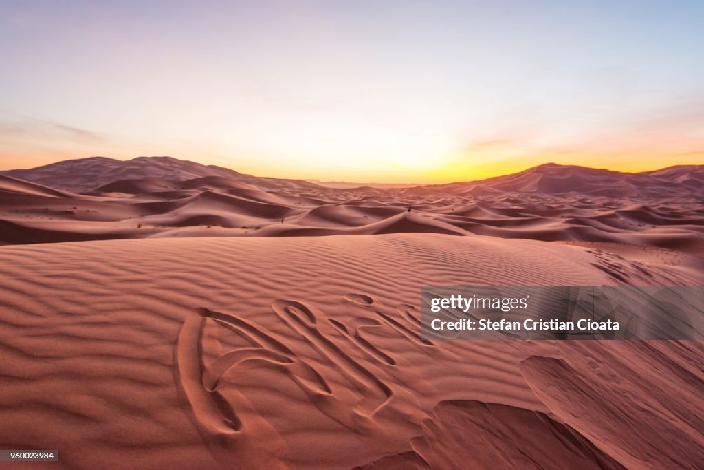 Sahara desert at sunrise, Merzouga, Morocco