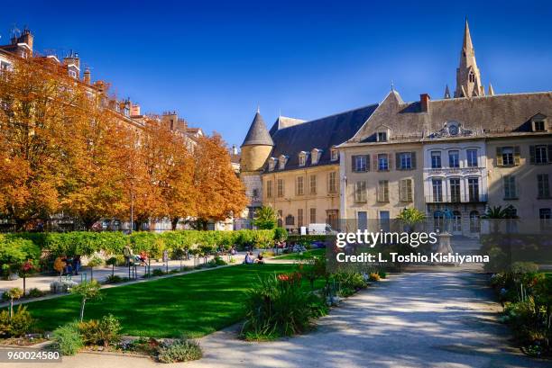 autumn at city park in grenoble, france - grenoble stockfoto's en -beelden