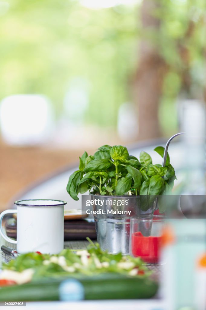 View on camping table with salad and fresh basil. Germany, Bavaria, Lake Sylvenstein