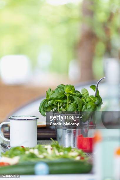 view on camping table with salad and fresh basil. germany, bavaria, lake sylvenstein - weight loss journey stock pictures, royalty-free photos & images
