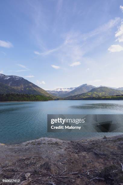 view over lake sylvenstein to the alps. germany, bavaria, lake sylvenstein. karwendel in the background - sylvenstein lake bildbanksfoton och bilder