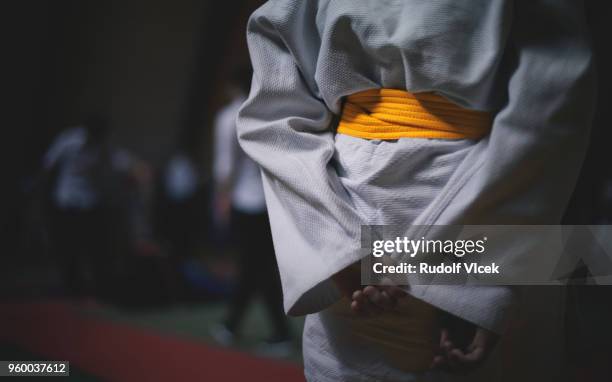 jiu jitsu (judo) fighter - judo stock pictures, royalty-free photos & images