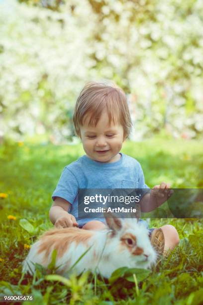 cute toddler with bunny enjoying warm summer day - baby bunny stock pictures, royalty-free photos & images