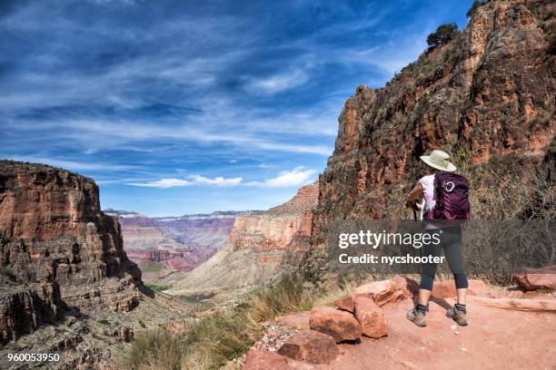 grand canyon travel - grand canyon national park stock pictures, royalty-free photos & images
