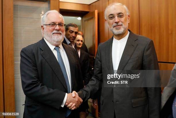 Iran's Vice President and head of the Iranian Atomic Energy Organisation, Ali Akbar Salehi greets Miguel Arias Canete, European Union Energy...