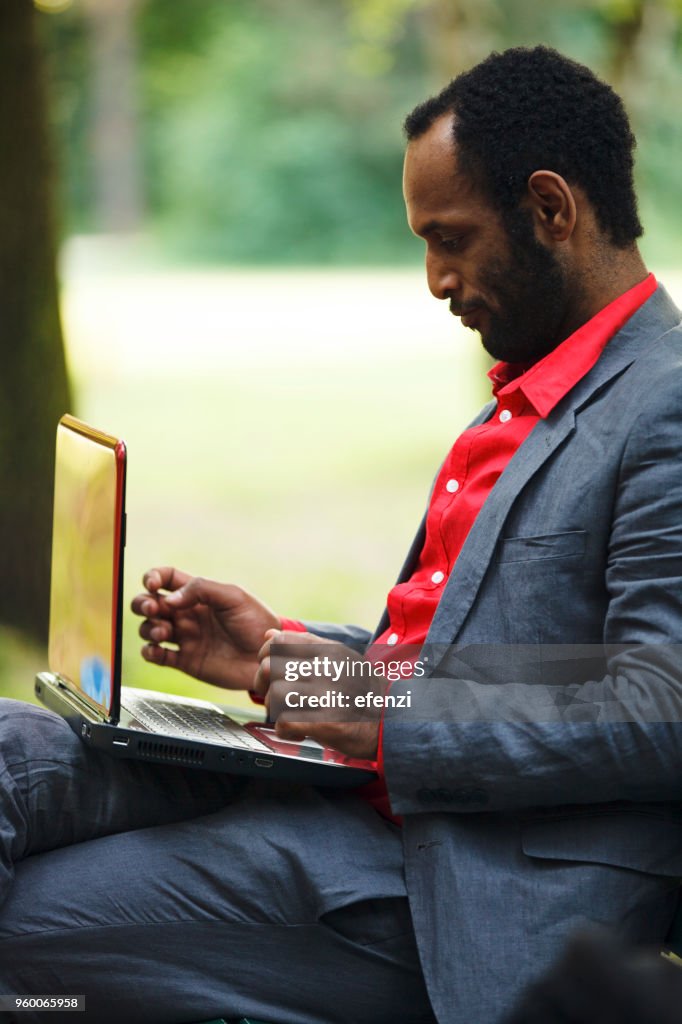 Businessman Working With Laptop In Park