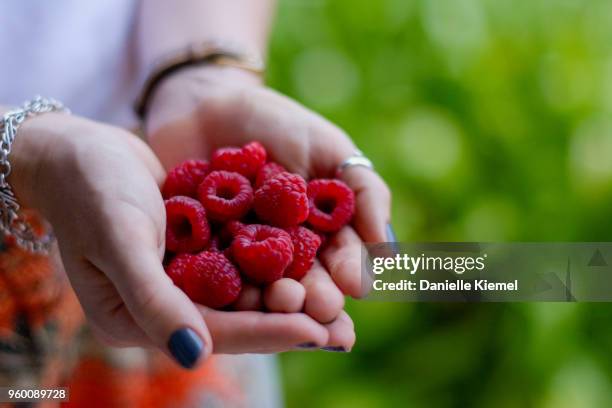 handful of home grown raspberries, side view - berry new south wales stock pictures, royalty-free photos & images