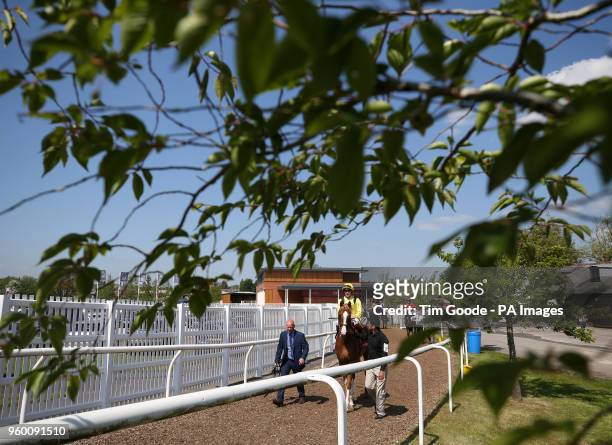 Andrea Atzeni rides out Masaarr before the Al Zubarah London Gold Cup Handicapduring the Al Shaqab Lockinge Day at Newbury Racecourse.