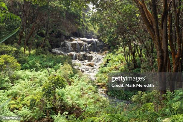 kakaahi falls at hells gate - rotorua stock pictures, royalty-free photos & images