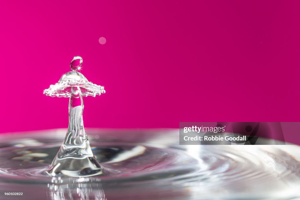 Water drips on a pink backdrop