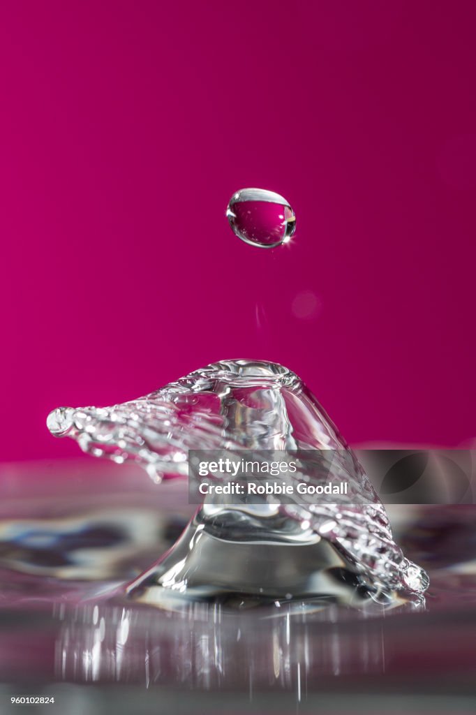 Water drips on a pink backdrop