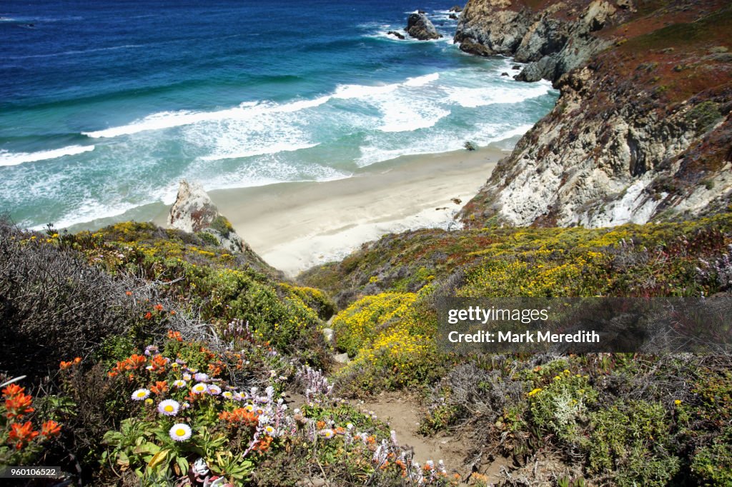 Pacific Coast Highway colour and beach