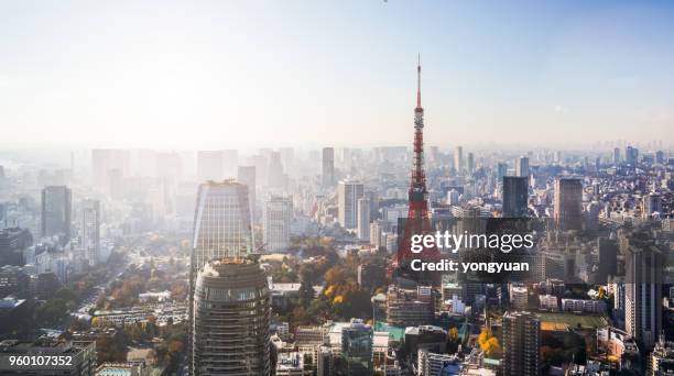 aerial view of tokyo skyline - yongyuan stock pictures, royalty-free photos & images